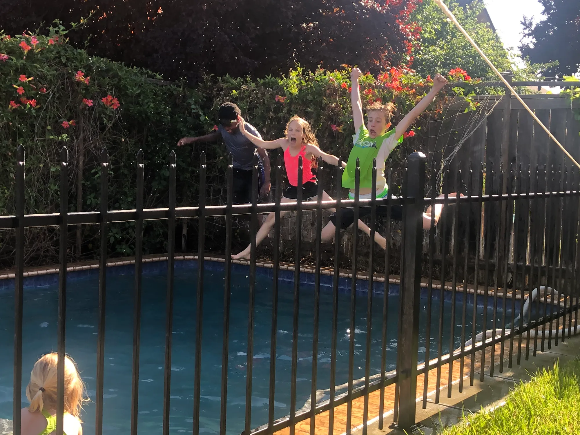 Three kids leap mid-air into a backyard pool, seen through a black metal fence, with flowering hedges behind and a child in